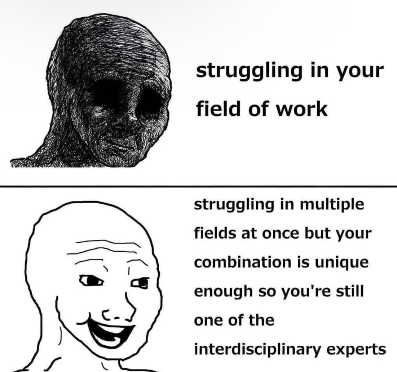 Meme about interdisciplinary experts